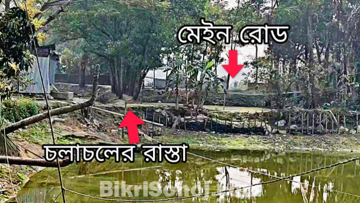 ৬ শতক জমি বিক্রি হবে লাকসাম বাইপাস